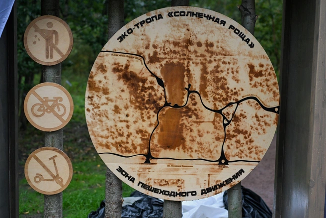 Источник: Предоставлено холдингом Setl Group