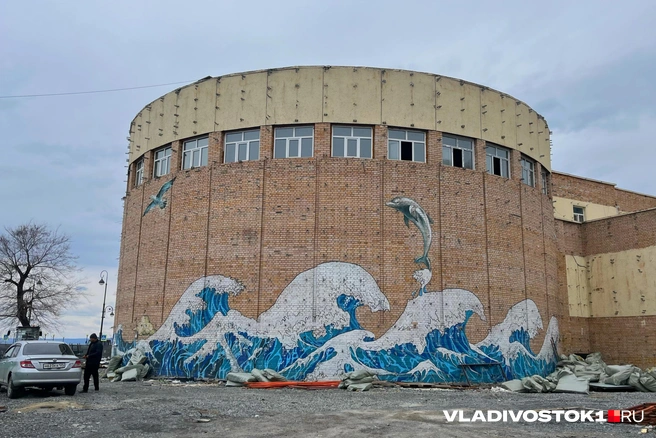 Рисунок отлично сохранился | Источник: Елена Буйвол / VLADIVOSTOK1.RU