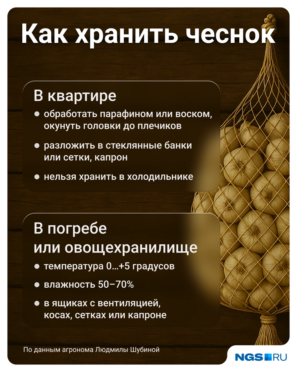 Основные правила в одной картинке | Источник: Юрий Орлов / Городские медиа