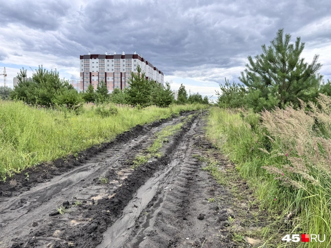 Здесь должна проходить дорога проспекта Первомайский | Источник: Юлия Король / 45.RU