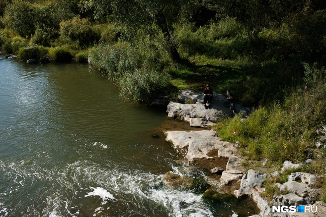 Сама дамба, как и река Бердь, разумеется, находятся на государственной земле | Источник: Андрей Бортко / NGS.ru
