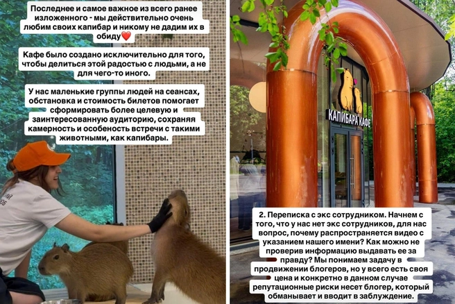 Позиция кафе в связи с массовой травлей и негативом | Источник: capycafe / Instagram (экстремистская организация, деятельность запрещена на территории РФ)