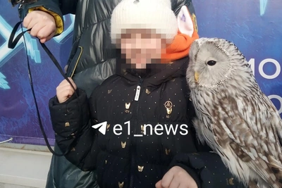 More Questions Than Answers: Father on Daughter's Death