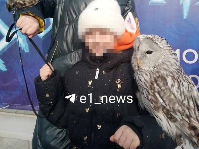 Отец погибшей описал ее как общительного и нормального ребенка | Источник: читатель E1.RU