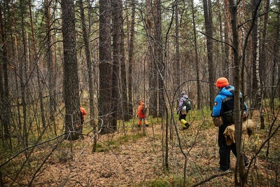 В Тульской области нашли погибшей пропавшую 30-летнюю женщину