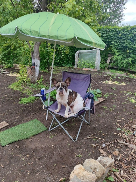 Работа&nbsp;работой, а отдых по расписанию! | Источник: читатель 63.RU