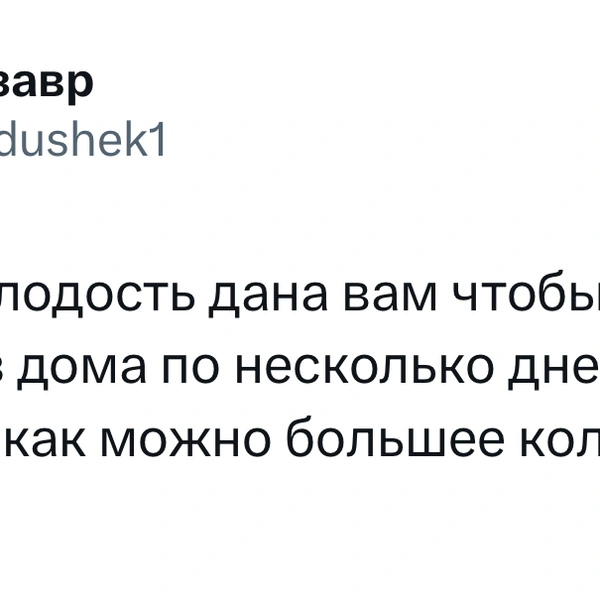 Источник: X (Twitter)