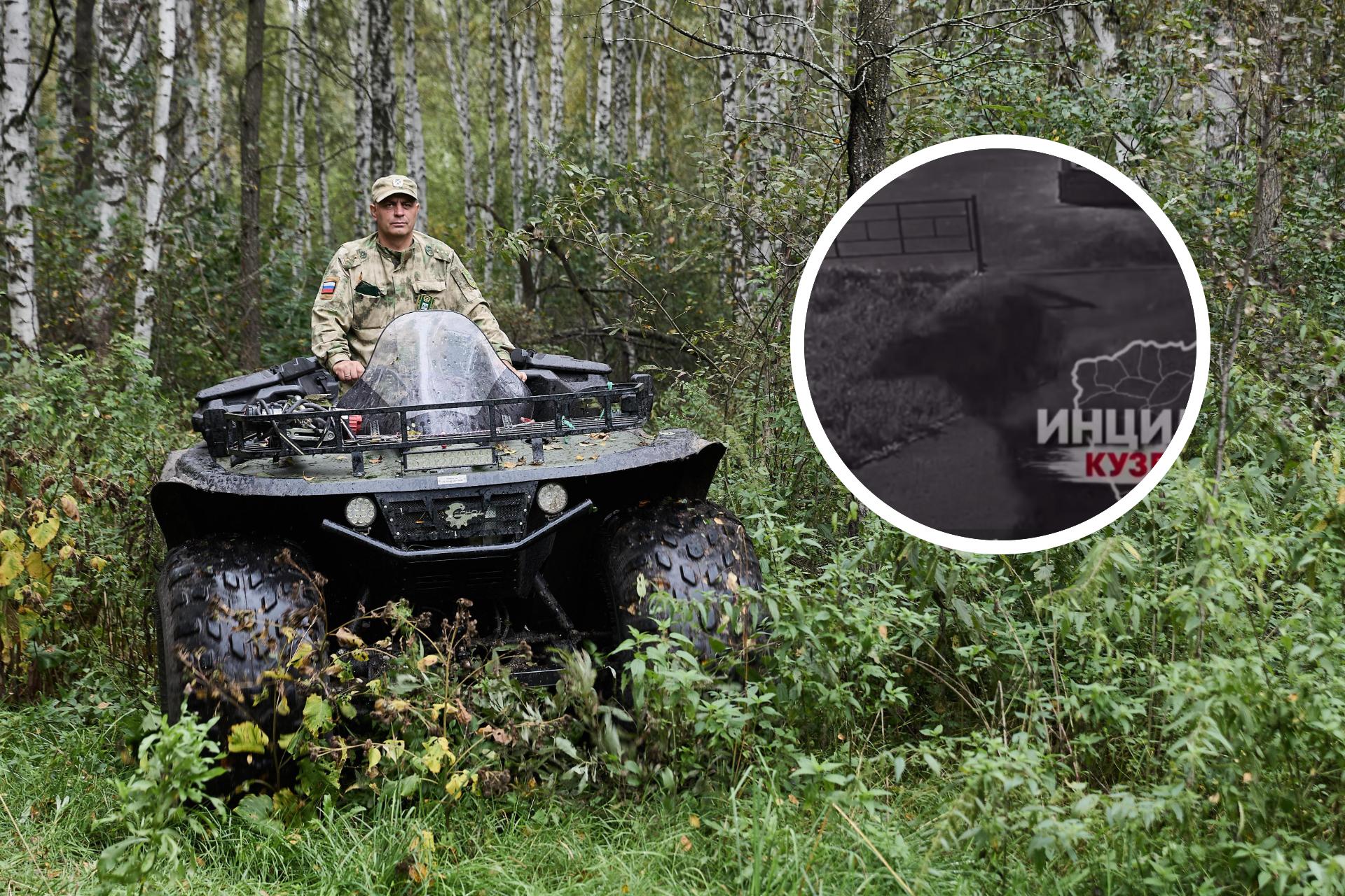 «Ищем с тепловизорами»: власти раскрыли, куда убежал медведь после прогулки по Кемерову