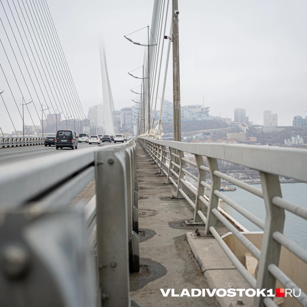 Источник: Елена Буйвол / VLADIVOSTOK1.RU