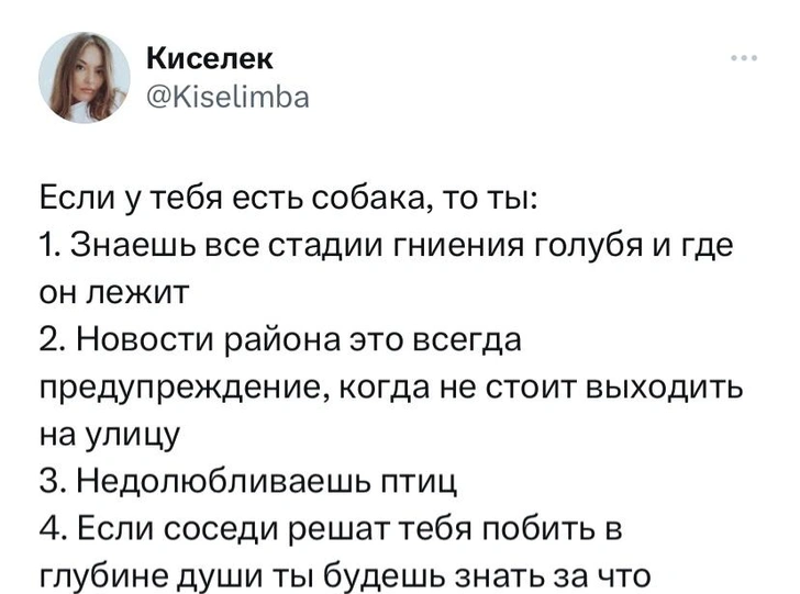 Шутки среды и Юлия Высоцкая