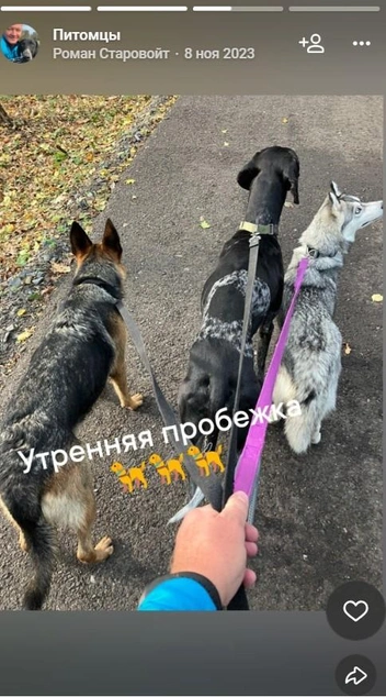 Источник: Роман Старовойт / Vk.com