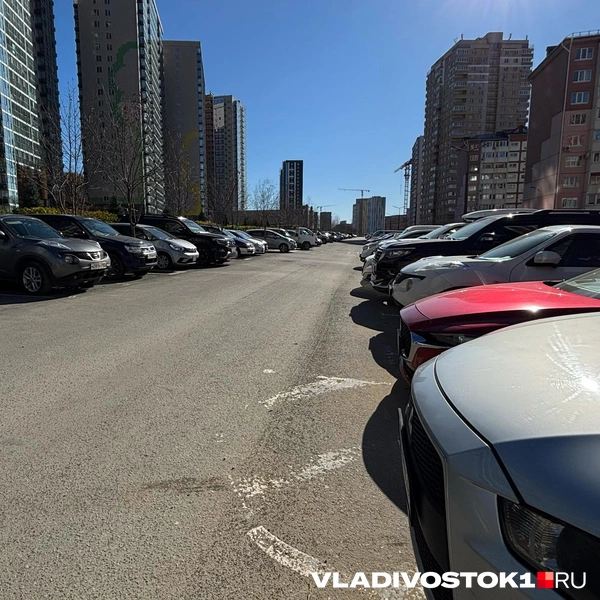 Источник: Елена Буйвол / VLADIVOSTOK1.RU
