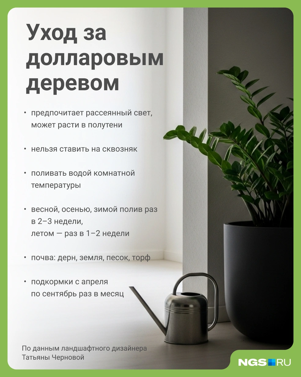 Источник: Юрий Орлов / Городские медиа