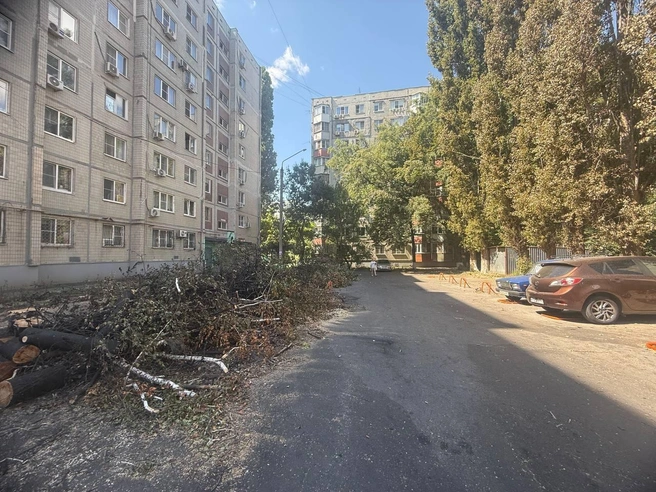 Сгоревшие ветки деревьев спилили, но пока не вывезли | Источник: Марина Рыбалкина / 161.RU