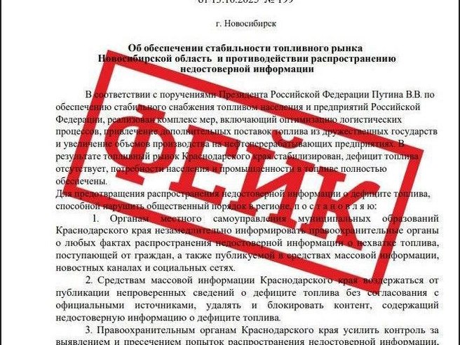 Власти области подтвердили, что документ является подделкой | Источник: Юрий Орлов / NGS.RU