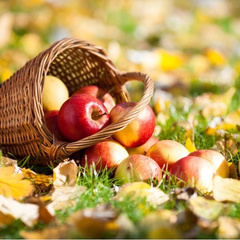 Как перезагрузить мозг за 1 минуту: найдите 4 яблока среди осенних листьев