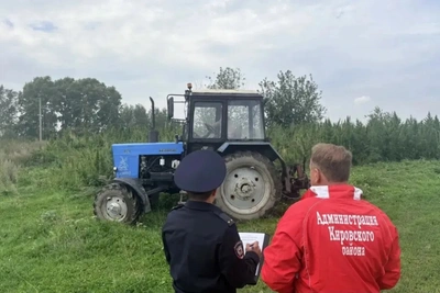 В Томске уничтожили очаг дикорастущей конопли