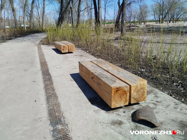 А в некоторых местах набережной стоят такие лавочки, которые точно ни под кем не сломаются | Источник: Дмитрий Волгин / Voronezh1.ru