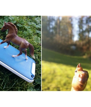 Девушка украсила чехол телефона лошадью и вскоре обнаружила, что на всех фотографиях теперь лошадиная морда