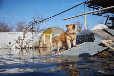 Томские власти готовятся к сложному паводку в 2026 году