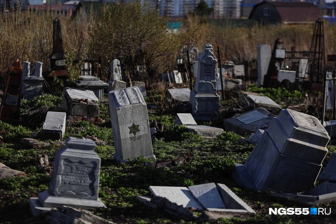 Покосившиеся надгробия в свете вечернего солнца | Источник: Евгений Софийчук / NGS55.RU