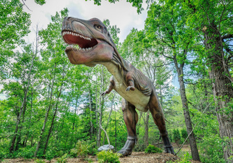Ранен, но не сломлен: найдены следы хромого двуногого динозавра