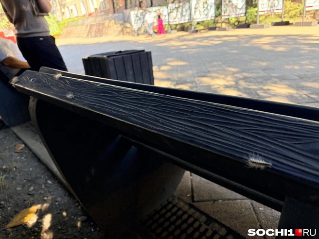 Сидеть на лавочках у администрации не приятно | Источник: Анна Грицевич / SOCHI1.RU