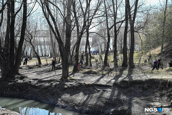 По словам мэра, за год в городе стало больше рабочих и спецтехники | Источник: Ева Михалевская / NGS.RU