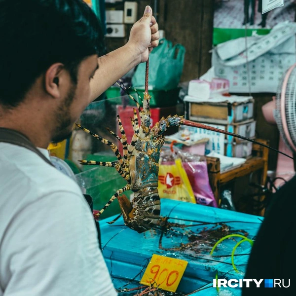Источник: Алина Ринчино / «ИрСити»