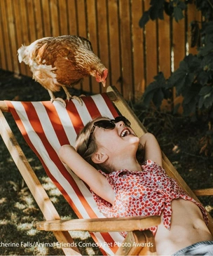 Самые смешные фото куриц за всю историю конкурсов Comedy Pet Photography Awards и Pet Photography Awards