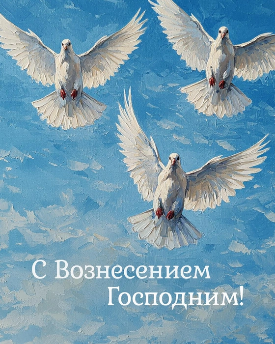 Источник: Городские медиа