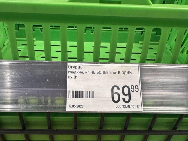 Наличие огурцов в продаже | Источник: читатель 72.RU
