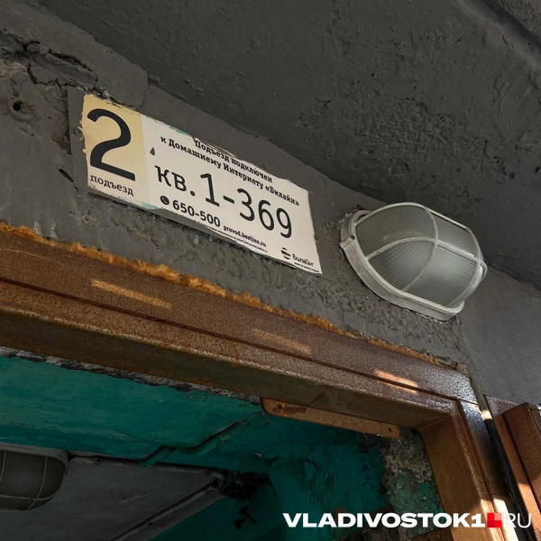 Источник: Елена Буйвол / VLADIVOSTOK1.RU