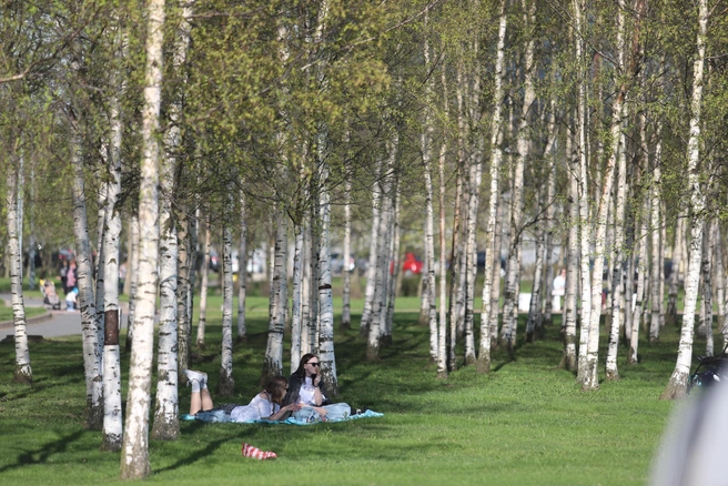 Выходные на 1 Мая и 9 Мая составят по три дня | 142.ru