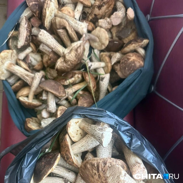 Источник: очевидец