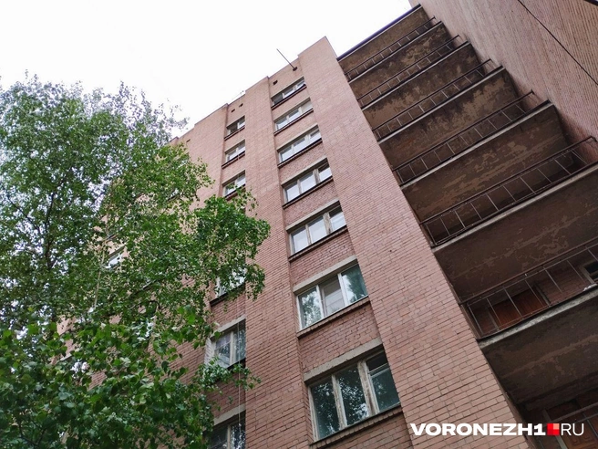 Убитый парень учился на факультете географии, геоэкологии и туризма | Источник: Дмитрий Волгин / Voronezh1.ru