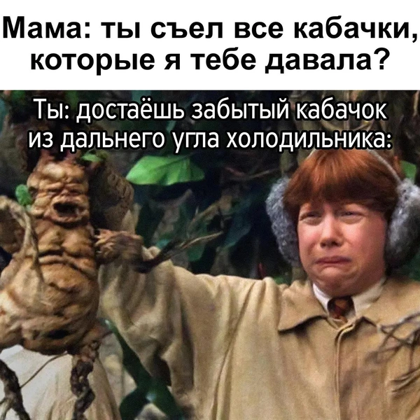 Источник: соцсети