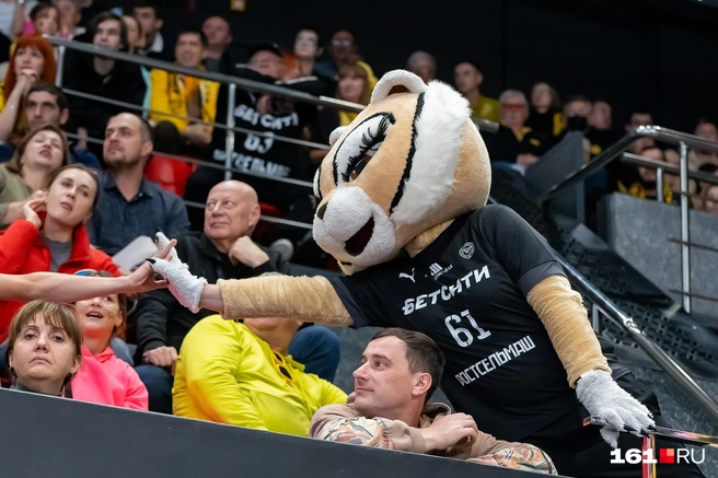 Болельщики любят Викки | Источник: Евгений Вдовин / 161.RU