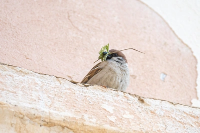 Аварийный дом в Тавричанке передан УК после отказа других