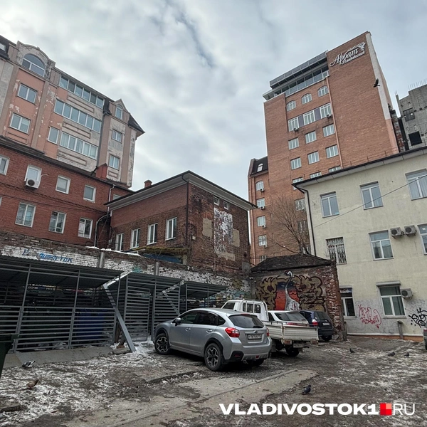 Источник: Елена Буйвол / VLADIVOSTOK1.RU