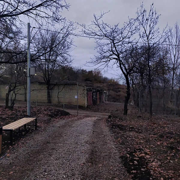 Источник: Сергей Гендин / 164.RU