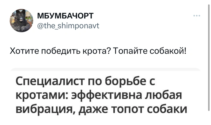 Шутки понедельника и размножаться почкованием