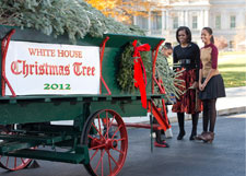 Елка у президента: Барак Обама готов к Рождеству и Новому году