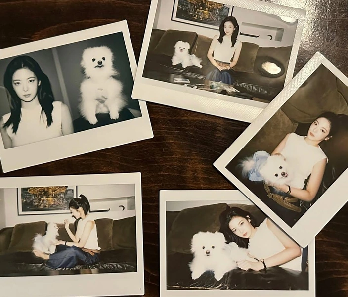 Источник: @itzy.all.in.us