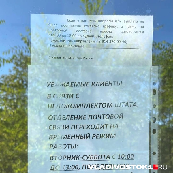 Источник: Елена Буйвол / VLADIVOSTOK1.RU