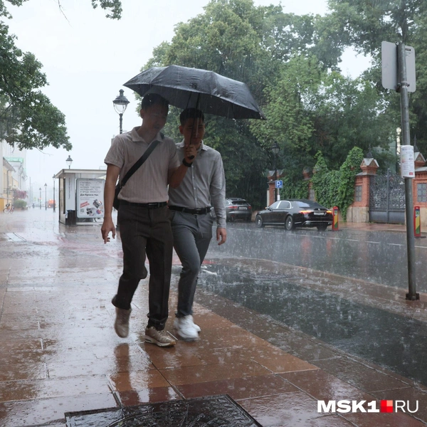 Источник: Дмитрий Толстошеев / MSK1.RU