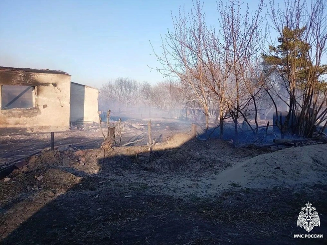 Общая площадь пожара составила гектар | Источник: «МЧС России по Новосибирской области» / 54.mchs.gov.ru