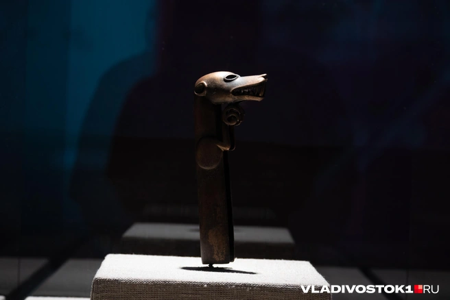 Источник: Елена Буйвол / VLADIVOSTOK1.RU