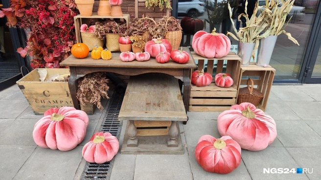 Мягкие тыквы на входе | Источник: Полина Бородкина / NGS24.RU