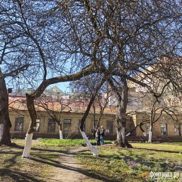 Источник: Галина Бояркова / FONTANKA.RU